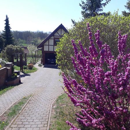 Ferienwohnung Zur Saaleaue Wettin 외부 사진