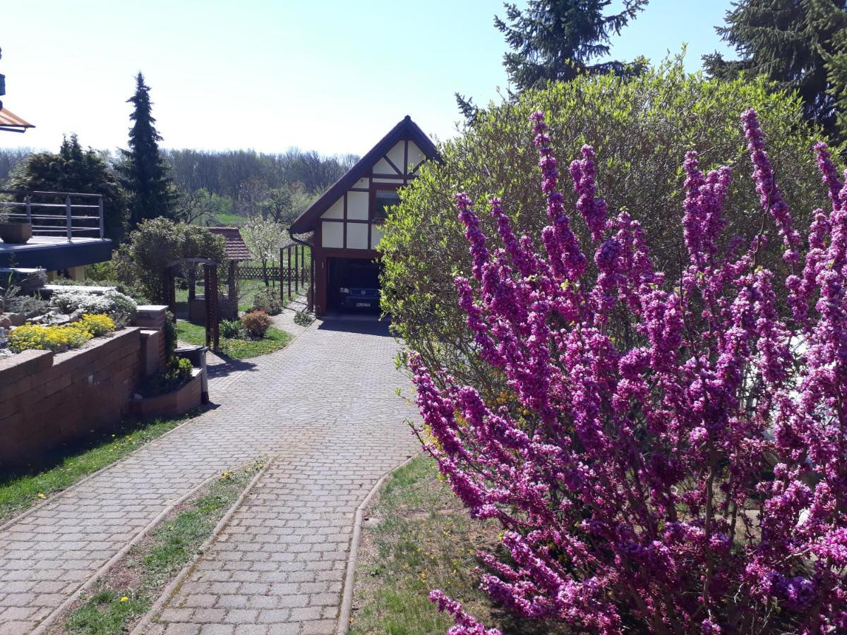 Ferienwohnung Zur Saaleaue Wettin 외부 사진