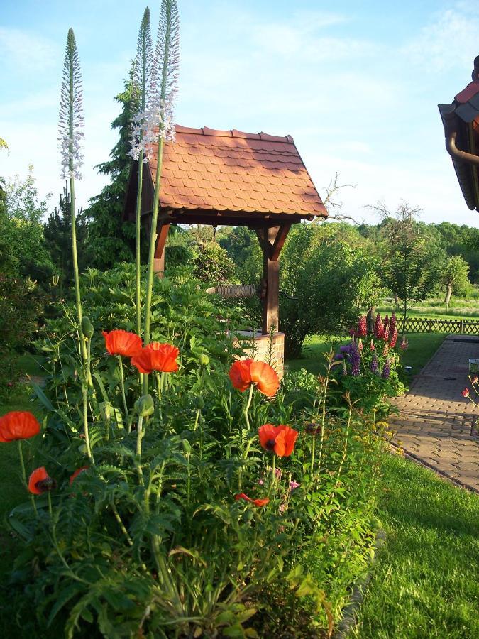 Ferienwohnung Zur Saaleaue Wettin 외부 사진
