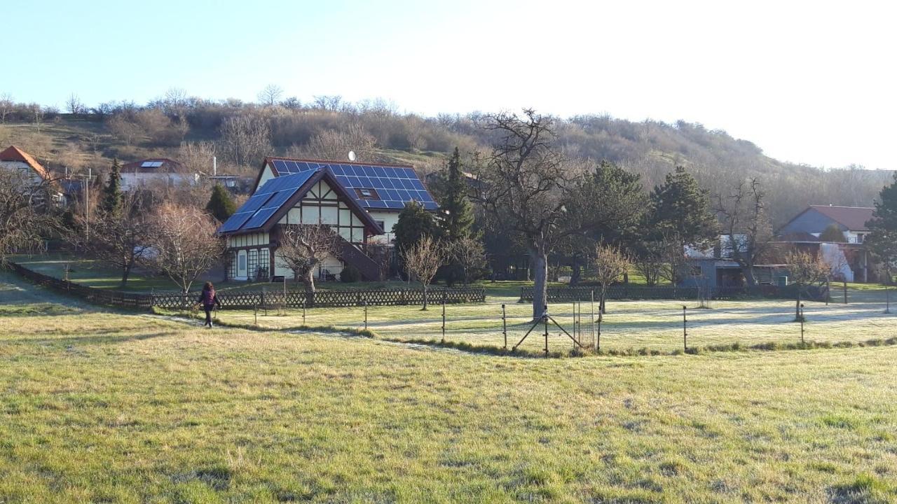 Ferienwohnung Zur Saaleaue Wettin 외부 사진