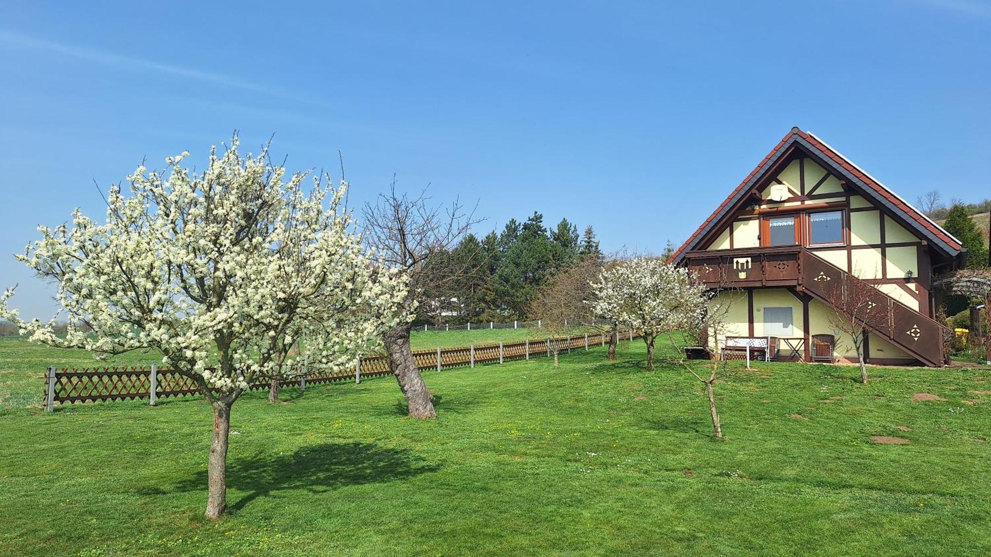Ferienwohnung Zur Saaleaue Wettin 외부 사진